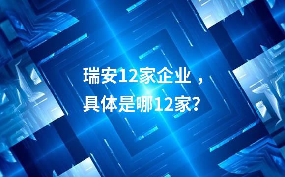 瑞安12家企业 ，具体是哪12家？